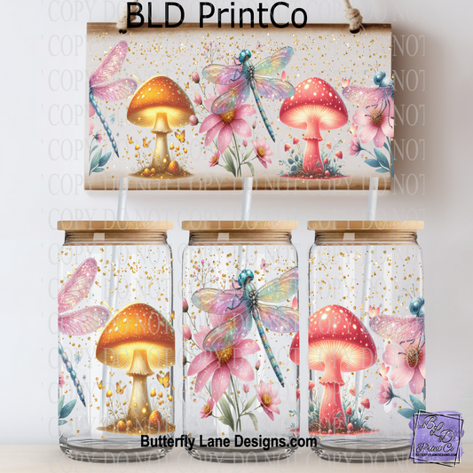 L428 Mushrooms & dragonfly