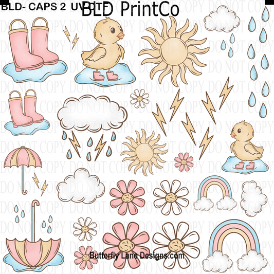 CAPS 2 Rainy Duck Days